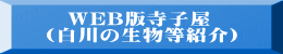 　WEB版寺子屋 （白川の生物等紹介）